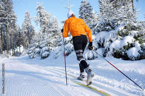 Bild auf Leinwand Skifahrer in Winterlandschaft, Rennsteig, Thüringen,  Jacke orange 8