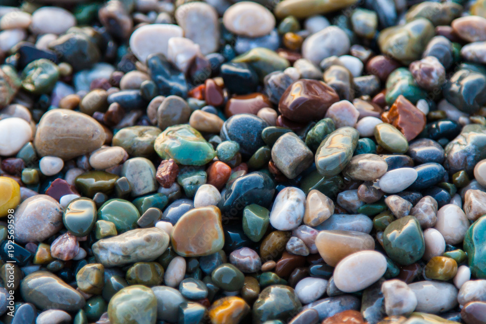 multi-colored pebbles on the beach, washed by waves multi-colored pebbles on the beach, washed by waves