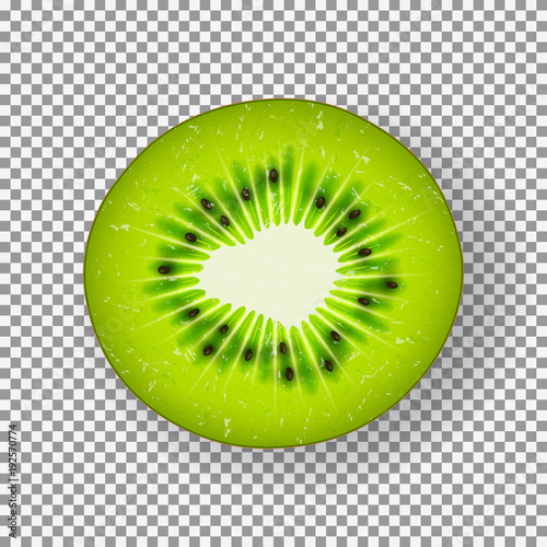 Realistic ripe kiwi slice. Vector illustration with seasonal summer sweet dessert. Top view on piece of juicy kiwi isolated on transparent background.