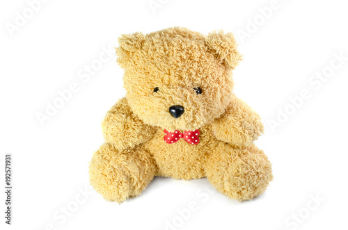 Teddy bear isolate on white background © Voravuth