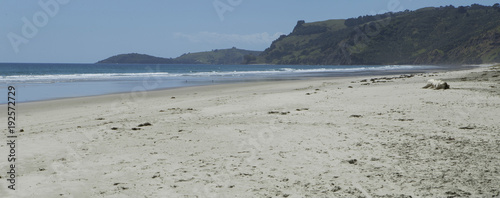 Pakiri beach New Zealand photo