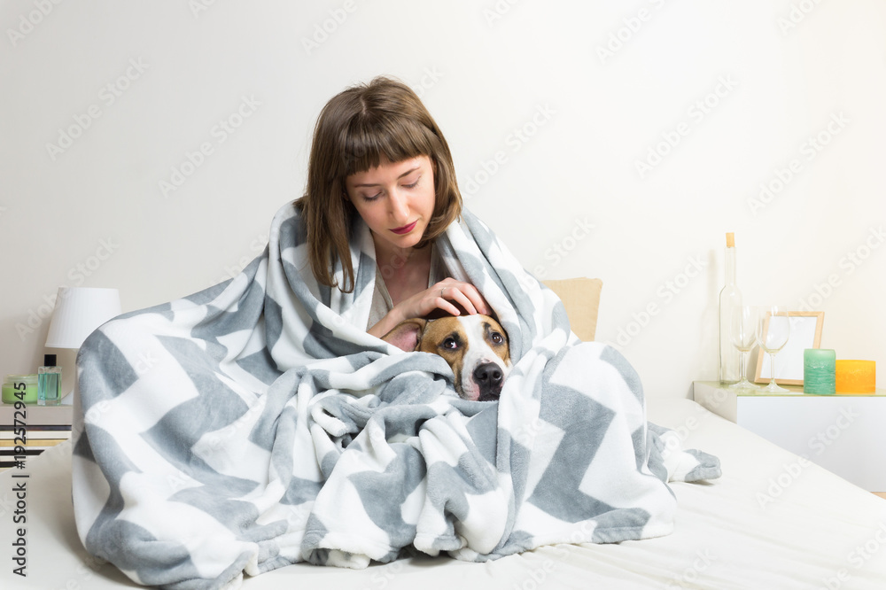 Taking care of dog in warm blanket in bed. Young woman petting her lazy staffordshire terrier dog in throw plaid in minimalistic bedroom environment Taking care of dog in warm blanket in bed. Young woman petting her lazy staffordshire terrier dog in throw plaid in minimalistic bedroom environment