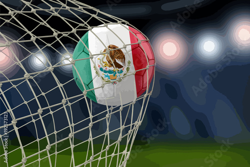 Mexican soccerball in net