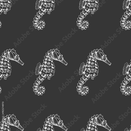 Vector seamless pattern with hand drawn seahorse sketch. Vintage background. Sealife illustration