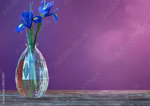 Fototapeta Naklejka Na Ścianę i Meble -  still life with spring floweras in vase