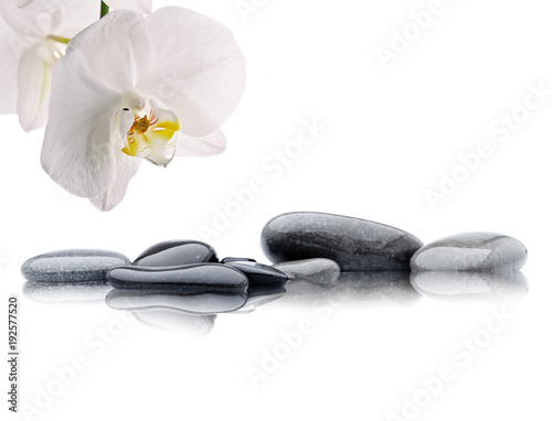 spa de orquídea blanca con piedras