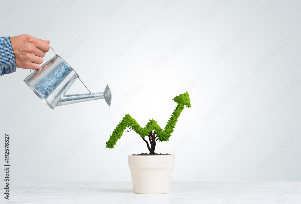 © adam121 - Concept of investment income and growth with tree in pot