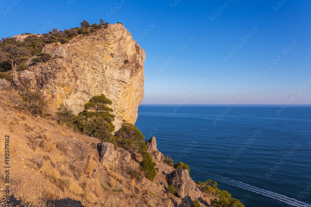 View of yellow rock with trees and bushes hanging over sea