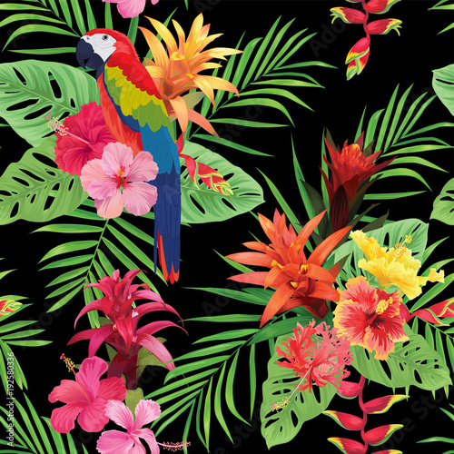 Beautiful seamless pattern with macaw, guzmania and hibiscus flowers on black background. Vector set of blooming tropical floral for wedding invitations, greeting card and fashion design.