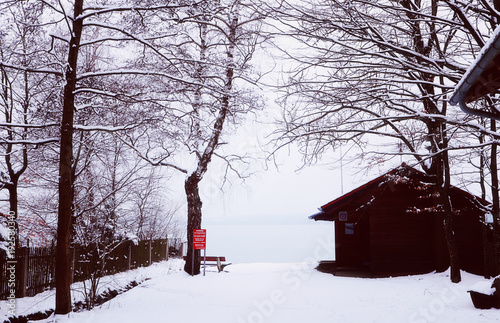 Bavaria in wintertime, Woerthsee near Munich, view of the lake edge among trees with bench and wooden hut photo