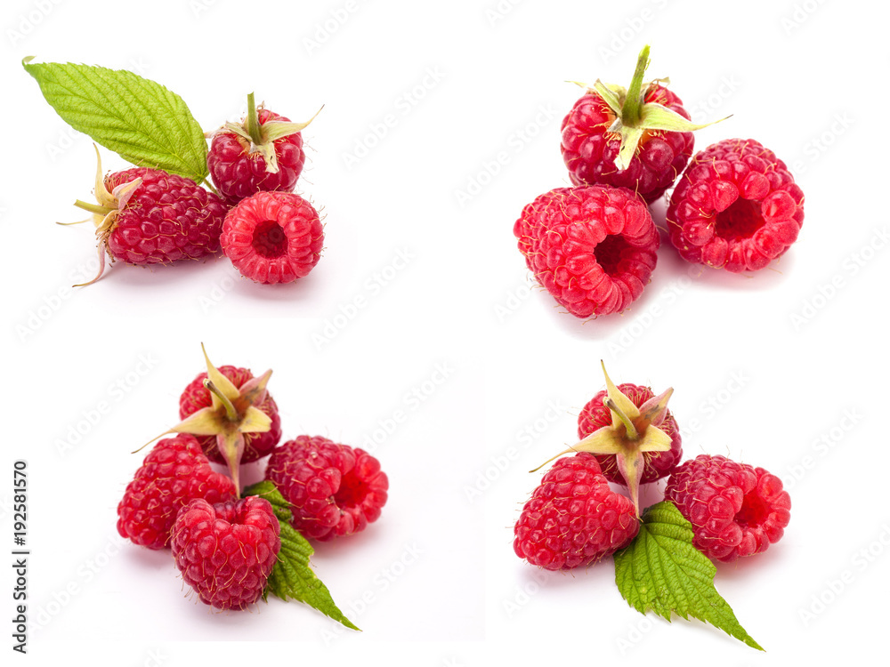 Collection of berries on white Collection of berries on white
