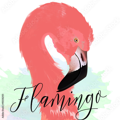 Beautiful vector illustration with drawn pink flamingo