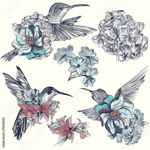 Collection of beautiful vector hummingbirds with flowers