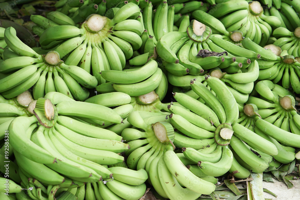 many green bananas.