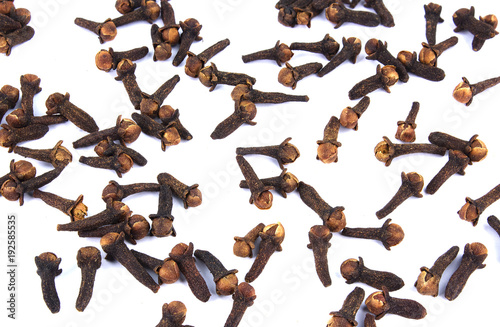 Dry cloves spice isolated on white background