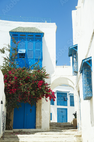 Obraz na plátně Street of the Sidi bou Saïd, Tunisia