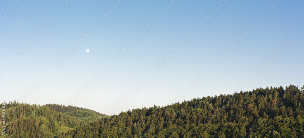 Fototapeta premium View of forested hills with moon in the sky during the day.