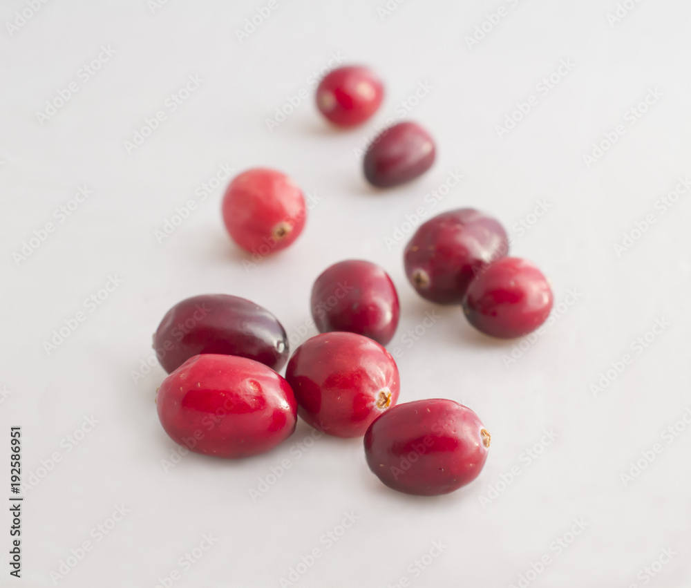 red cranberries on white background