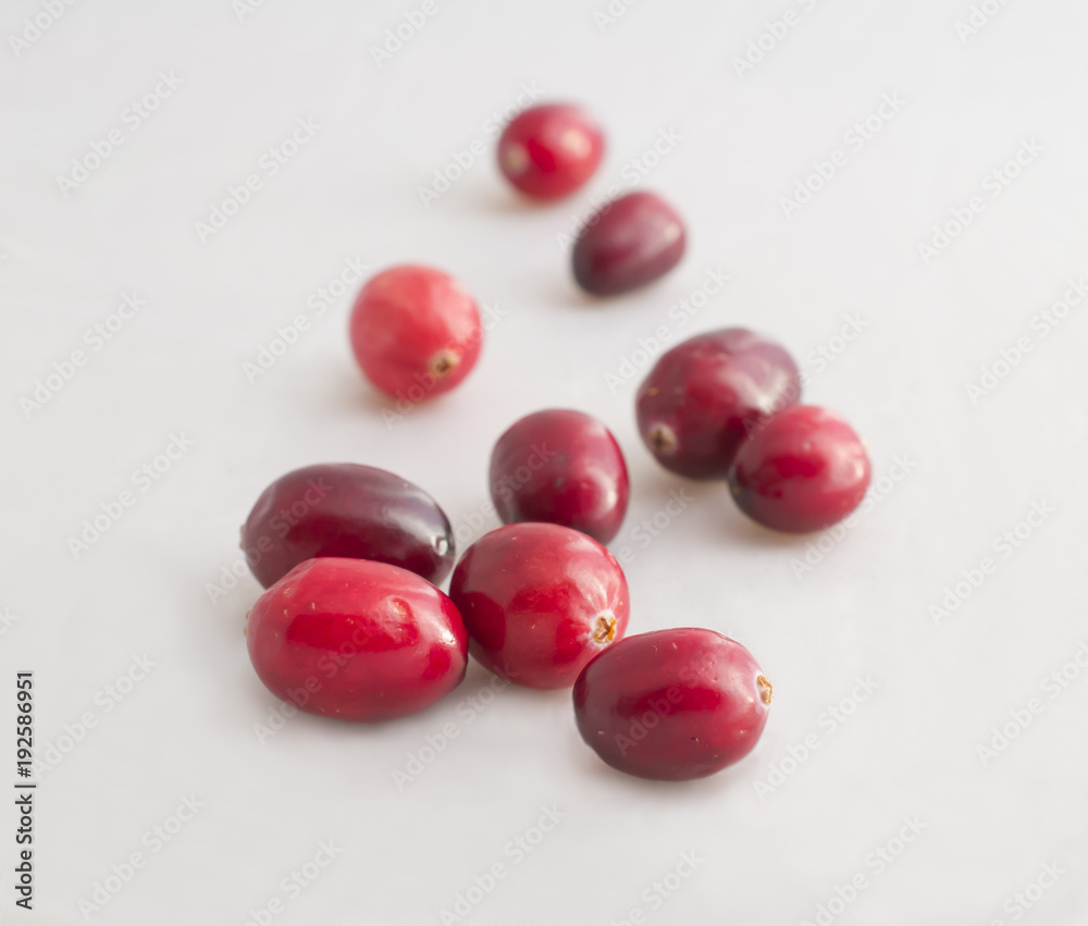 red cranberries on white background red cranberries on white background