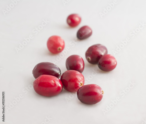 red cranberries on white background