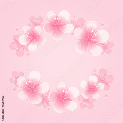 Light Pink flowers Frame isolated on Pink background. Apple-tree flowers. Cherry blossom. Vector