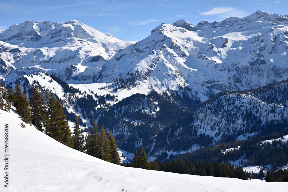 Pics enneigés à Lenk dans l'Oberland bernois en Suisse