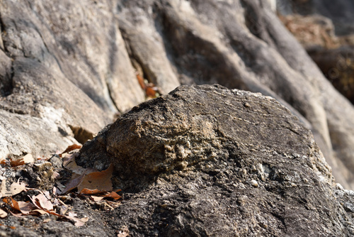 Marble rock