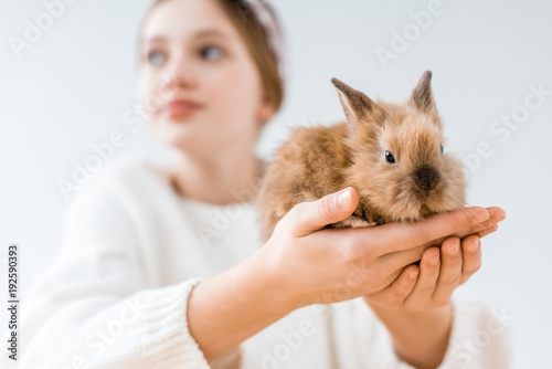 close-up view of girl holding cute furry rabbit on white