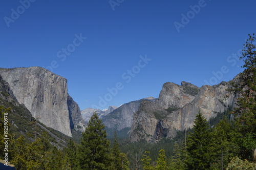 Fototapeta Naklejka Na Ścianę i Meble -  Yosemite National Park. CA
