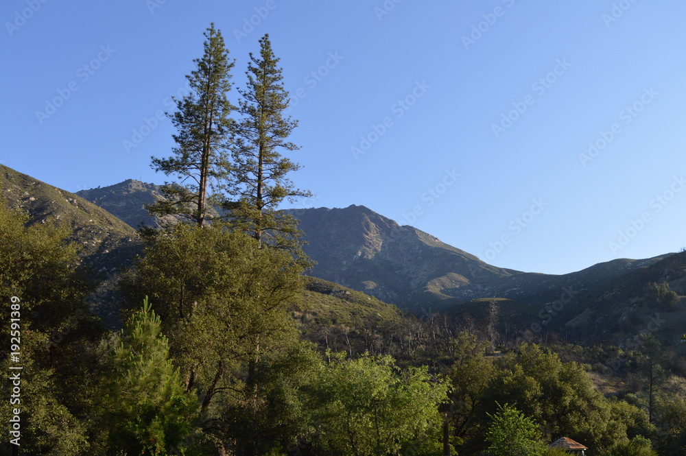 Fototapeta premium Yosemite National Park. CA