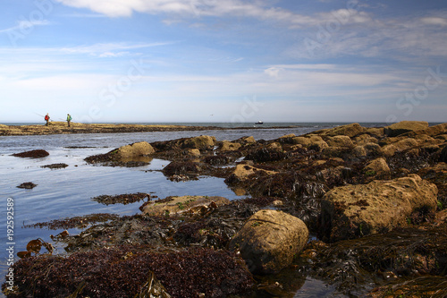 Sea fishermen angling on filey brigg yorkshire photo