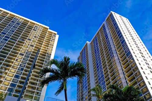 Hawaii palms and buildings © Guy