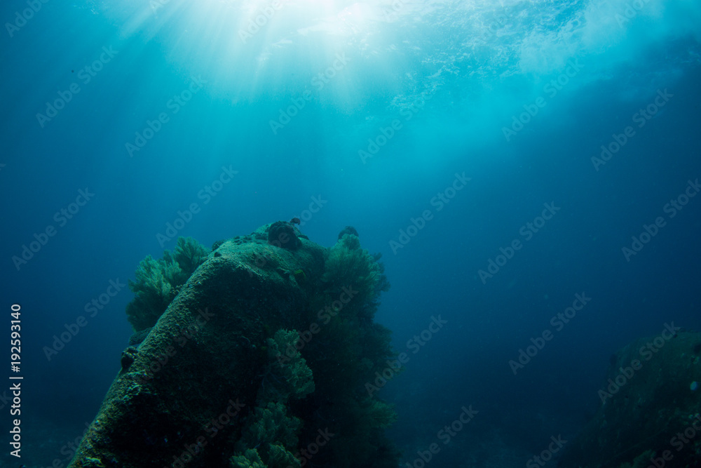 Obraz premium Underwater seascape with natural sunlight through water surface and rocks on the seabed.underwater background