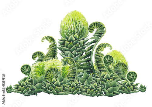 Billede på lærred Watercolor prehistoric plants