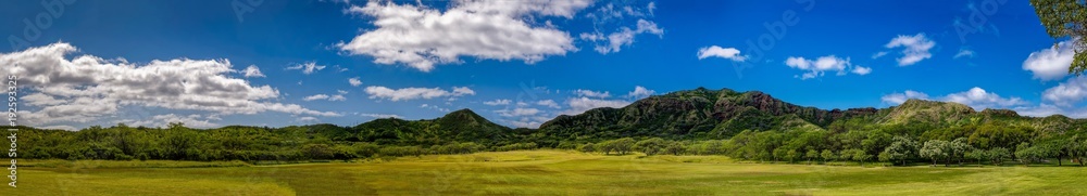 Obraz premium Panoramic view of a forest near Diamond Head in Oahu Hawaii 