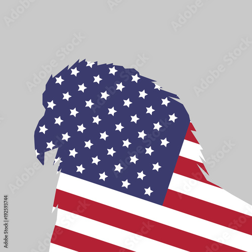 American flag, bald
