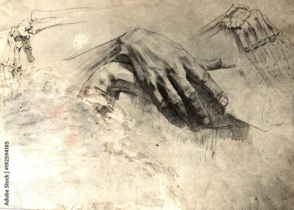 Fototapeta premium Pencil drawing, sketch