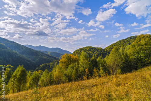 landscape with hills forested autumn © czamfir