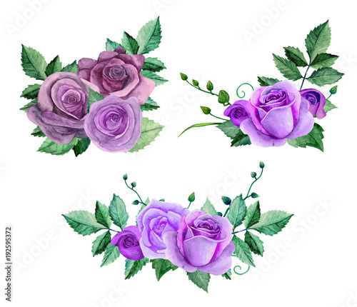 Watercolor purple roses bou...