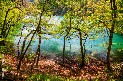 azure lake through the trees in Plitvice © Anna Lurye