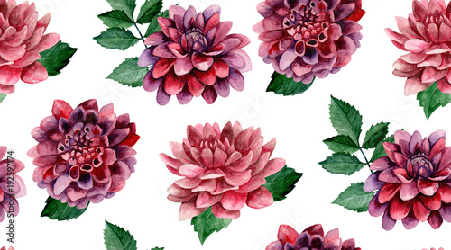 Dahlia watercolor flowers b...