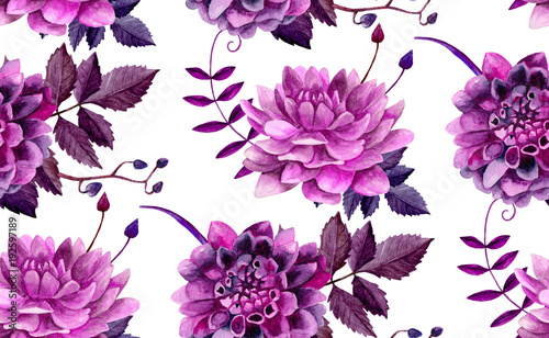 Fototapeta Naklejka Na Ścianę i Meble -  Watercolor purple dahlias flowers pattern. Floral background