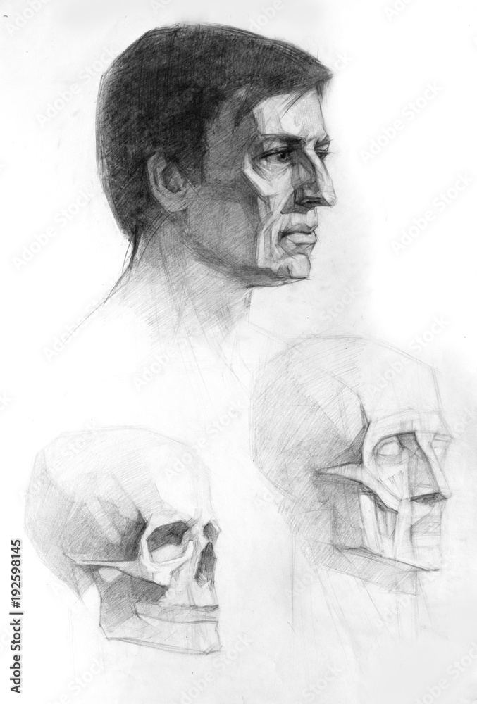 illustration drawing, sketch, portrait