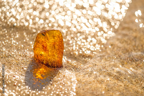 Fotografia, Obraz Amber on a beach of the Baltic Sea