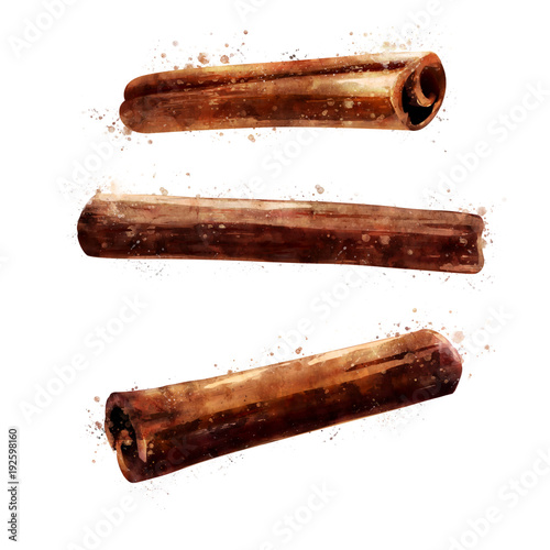 Cinnamon on white background. Watercolor illustration