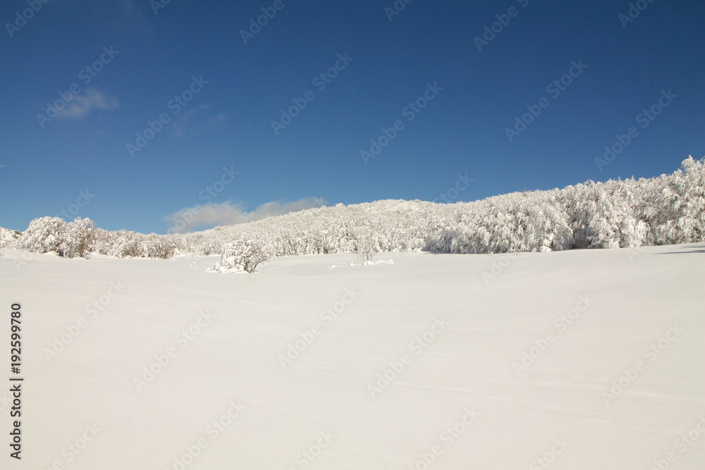 pristine snow in a winter landscape with beautiful blue sky