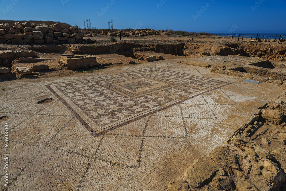 Roman Remains Pathos Mosaic