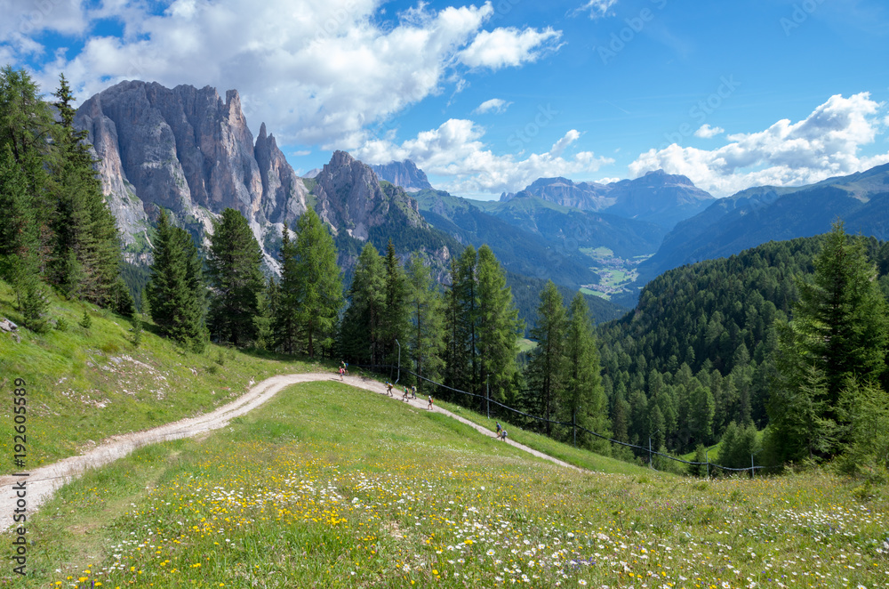 Catinaccio mountain massif as seen from the road to Passo Costalungo, Dolomites, Vigo di Fassa, Val di Fassa, Trentino, Alto Adige, South Tyrol, Italy
