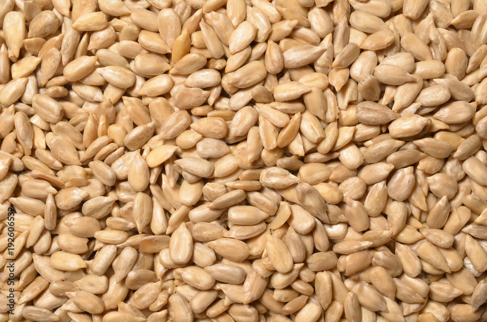 A top view close up photo image of sunflower seeds in a sunflower seeds pile A top view close up photo image of sunflower seeds in a sunflower seeds pile