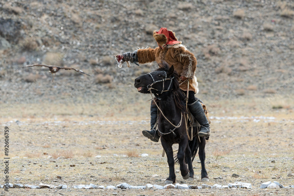 Mongolia. Traditional Golden Eagle Festival. Unknown Mongolian Hunter ( Berkutchi ) On Horse With Golden Eagle. Falconry In West Mongolia